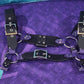 Premade Biothane H-Harness Size 2 Black and Royal Purple