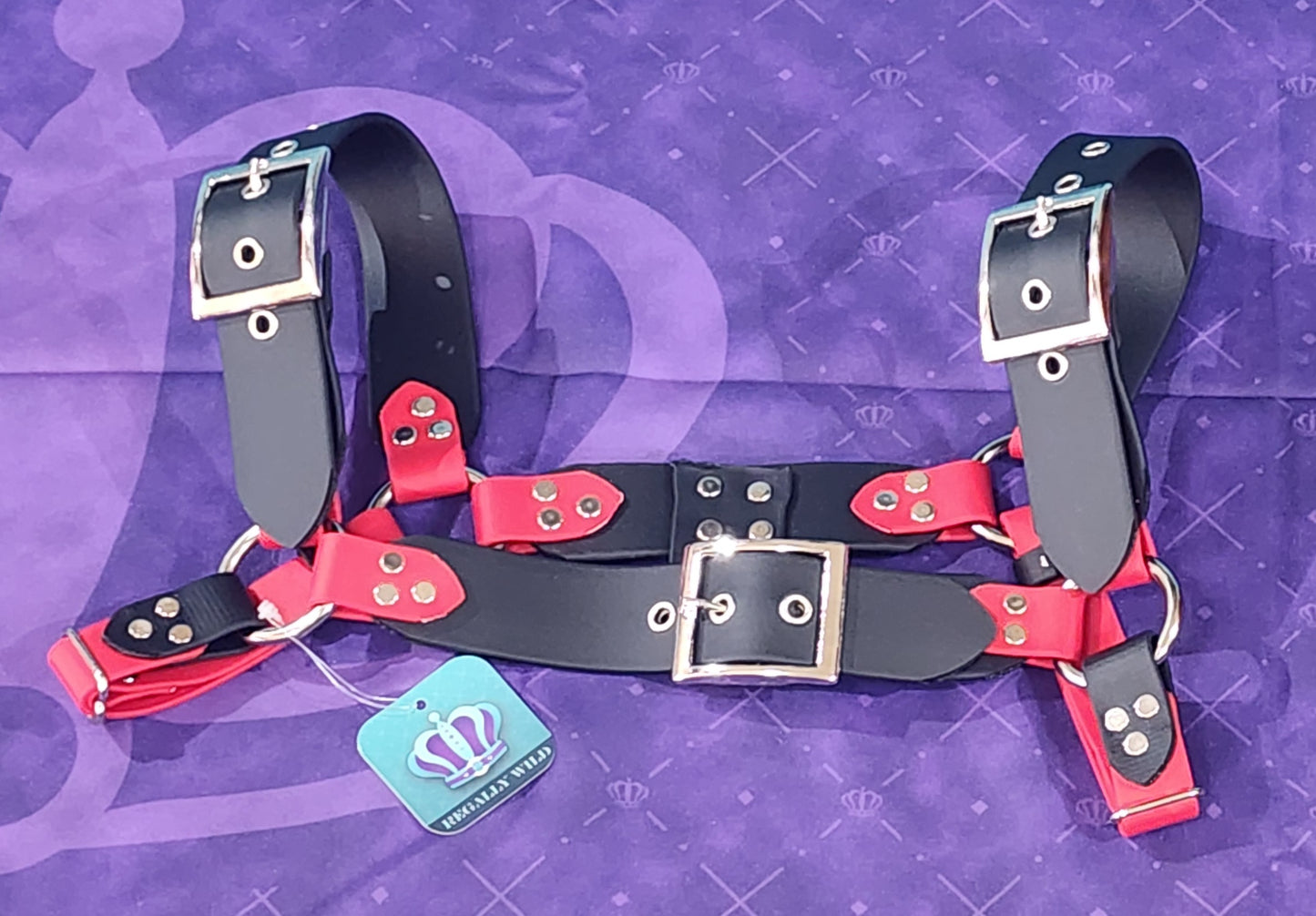 Premade Biothane H-Harness Size 1 Black and True Red