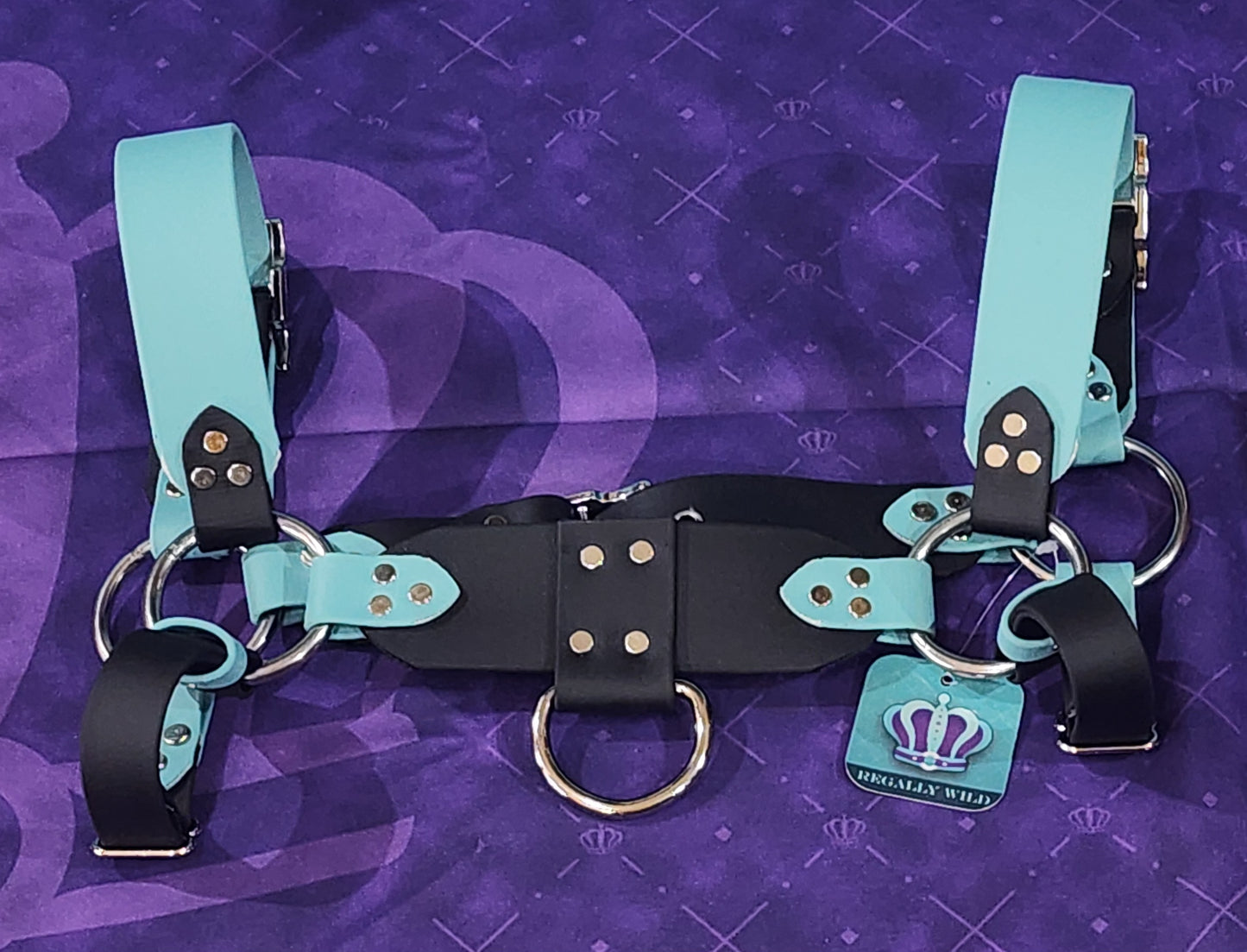 Premade Biothane H-Harness Size 1.5 Black and Dusty Turquoise