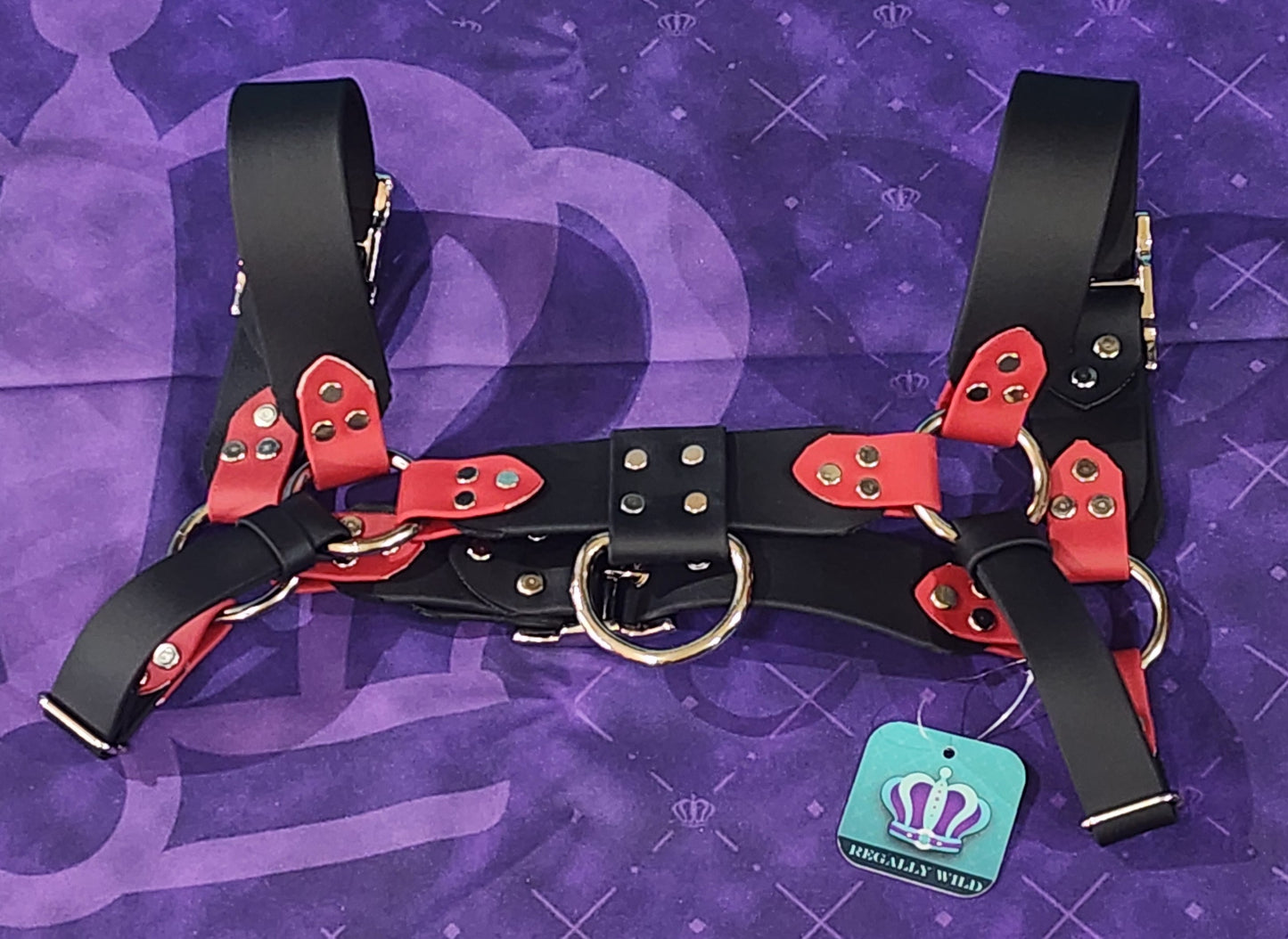Premade Biothane H-Harness Size 1 Black and Crimson