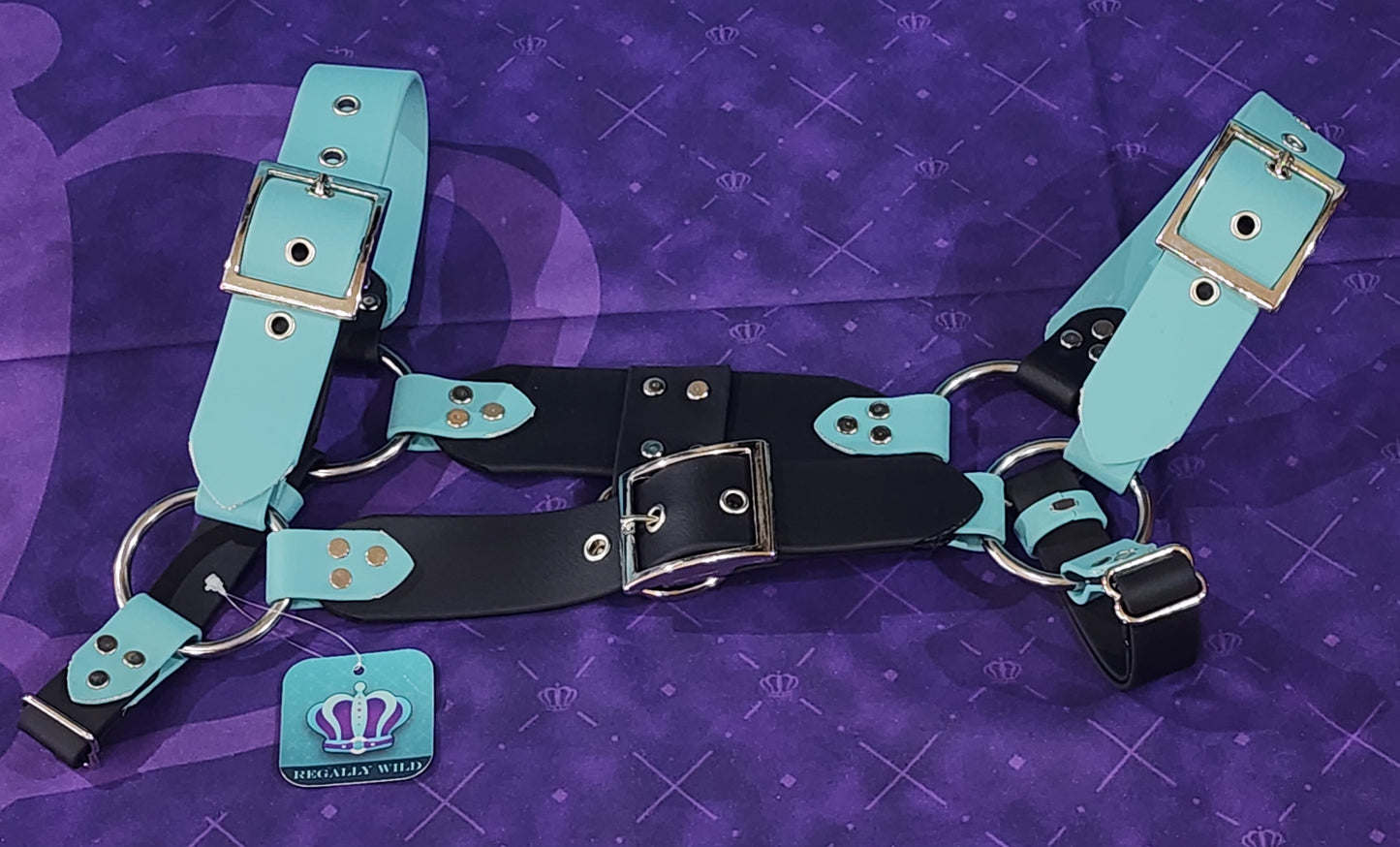Premade Biothane H-Harness Size 1.5 Black and Dusty Turquoise