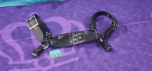 Premade Biothane H-Harness Size 1 All Black 🖤