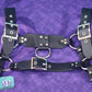 Premade Biothane H-Harness Size 2 All Black 🖤