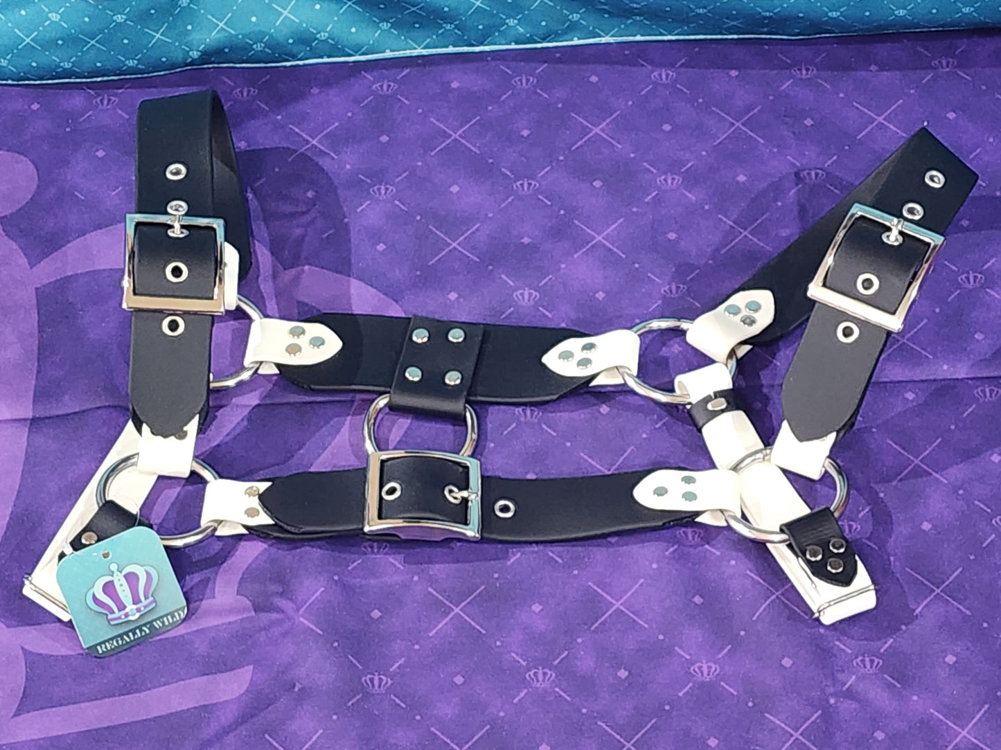 Premade Biothane H-Harness Size 2 Black and White
